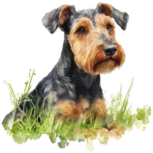 Adesivi airedale terrier - adesivi,