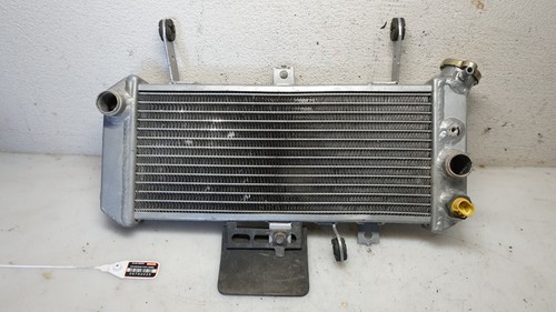 Suzuki 650 radiatore - sv, n