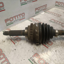 96396119 Semialbero ant