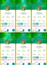 Charjabug XXL 0,82 - 0,87 m |