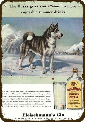 1940 siberian husky - siberian, dog