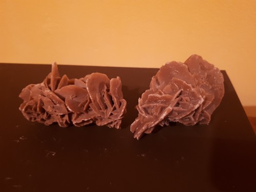 Rosa del deserto - rosa,