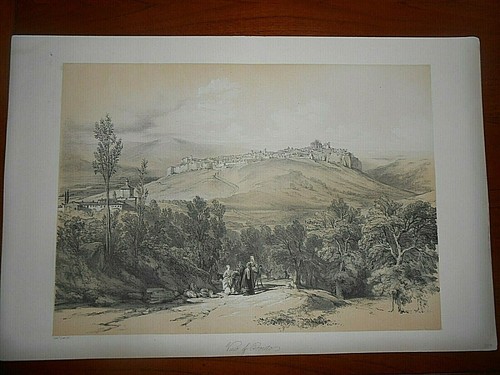 1842 edward lear litografia - edward,