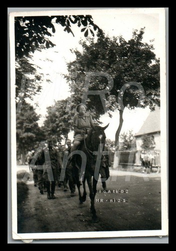 Foto ww2 342 compagnia - foto,,