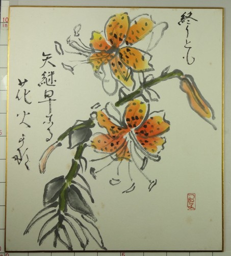 Quadro is650 shikishi pianta - quadro,