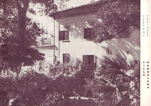 Testona