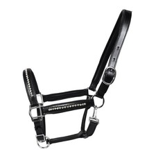 Collare imbottito per cavalli