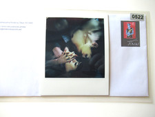 z) N. ARAKI: FOTO POLAROID