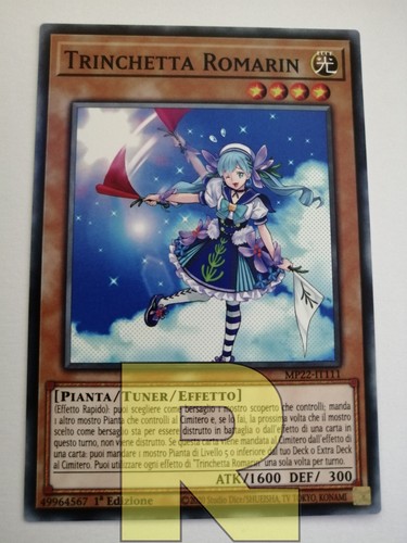 Trinchetta romarin - 3x,