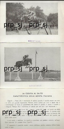 Cartolina equitazione salto - equitazione,