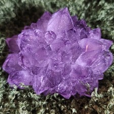 Esemplare a grappolo di