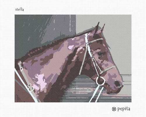 Kit punto ago tela stella - kit, o