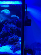 NemProtect Protezione Testa