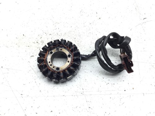 Statore campo magnetico - statore,