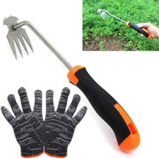 Ylinwtech Sarchiatrice