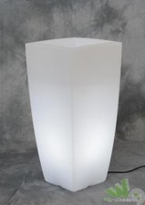 VASO FIORI PIANTE ILLUMINATO