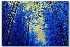 Bambù Heterocycla Blue.60