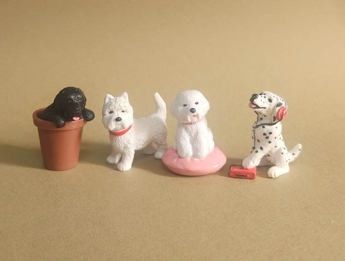 Nenova terra westie - terra,,