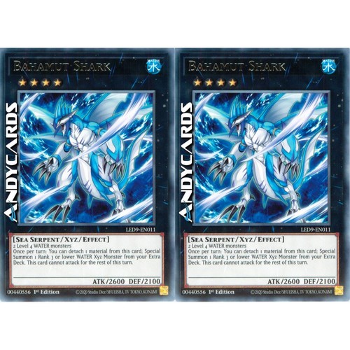 Bahamut shark squalo - shark, •