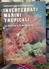 Invertebrati marini tropicali in natura e in acquario.