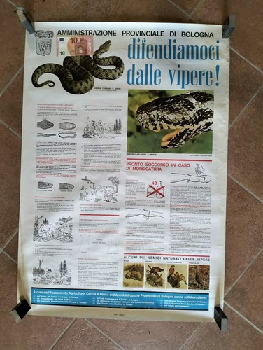 Poster informativo - poster,