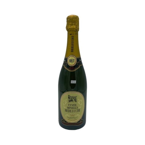 Vintage bottle berlucchi - vintage,