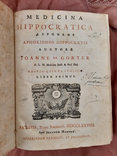 Johanne gorter medicina - johanne,