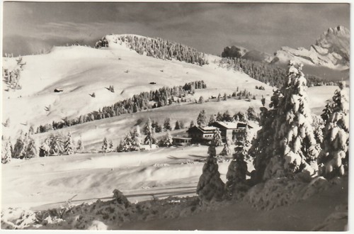Alpe siusi bolzano - siusi,
