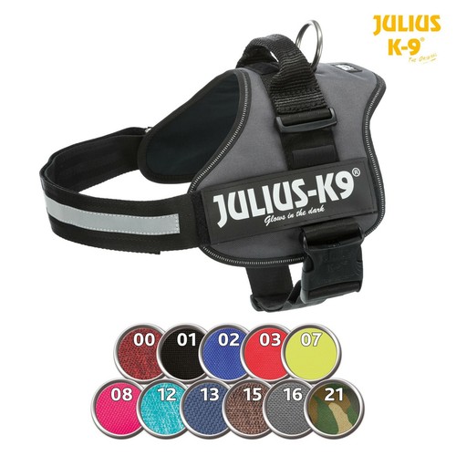 Julius pettorina power - julius-k9,