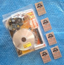 MALOSSI Variatore Multivar