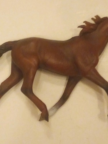 Puledro cavallo arabo - di, da