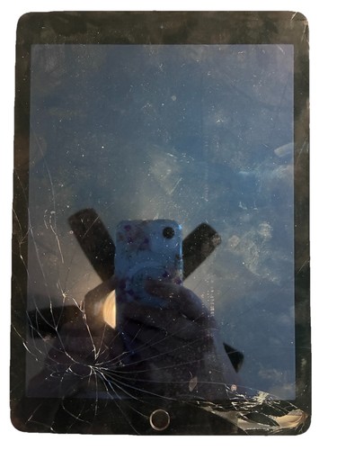Apple ipad air - 2, a1566