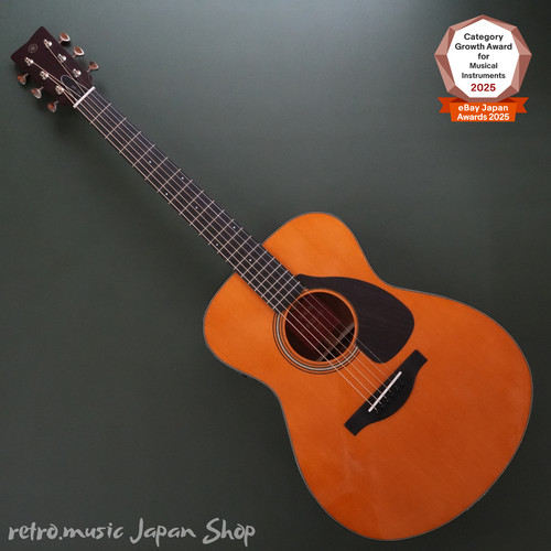 Chitarra elettrica acustica