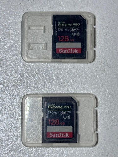 Coppia sandisk extreme pro 128