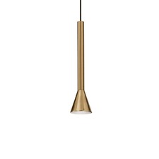 Modern Design Gold 1 Light