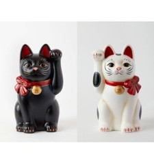 SETO Maneki Neko Nastro Bianco