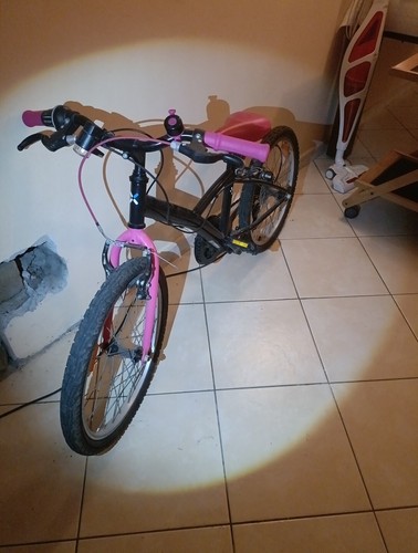Bicicletta bambina - bambina, 20