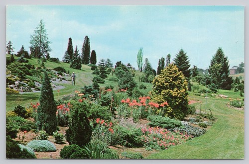 Cartolina national - cartolina, us