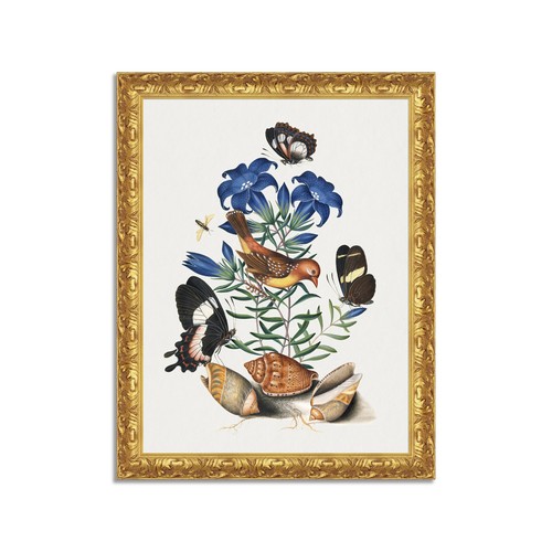 Quadro stampa tela - quadro, su