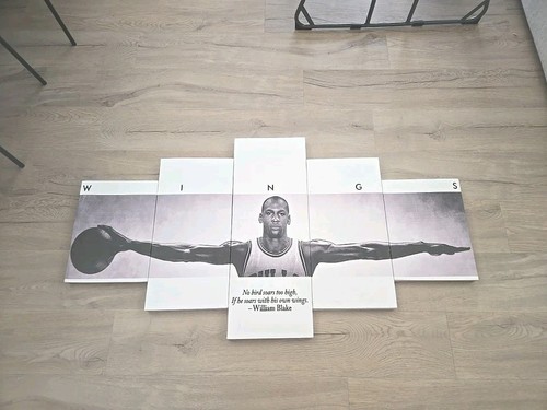 Quadro michael jordan - quadro, wings