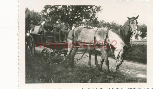 Foto ww2 fronte - foto,,