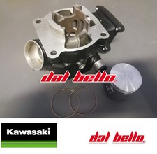 CILINDRO COMPLETO DI PISTONE