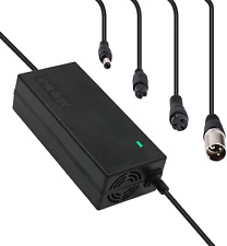 Caricabatterie Bici Elettrica