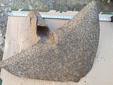 Antico  Attrezzo   agricolo 