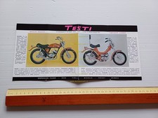 Testi 50 Royal Rally-Cricket