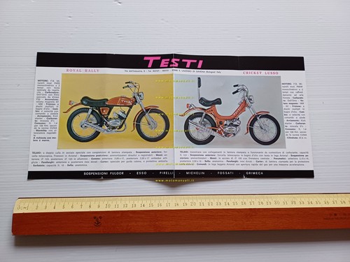 Testi royal rally - royal, rally-cricket
