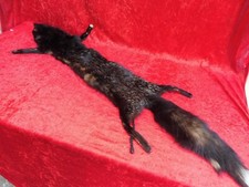 Bella, Vecchio Stola Di Volpe