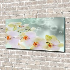 Quadro in vetro quadri da