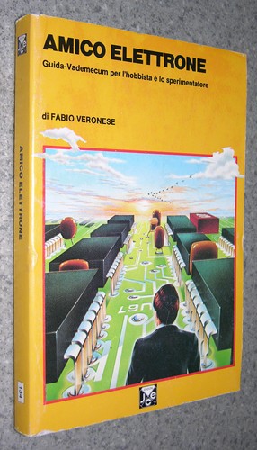 Libro guida vademecum hobbista - libro,