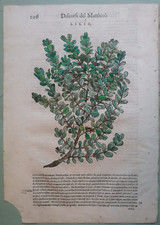 Mattioli Pietro - Stampa